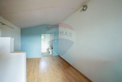 Casa de vanzare in Santaul Mic, comuna Bors - la doar 15 km de Oradea - 23