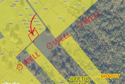 Teren de 884 mp, în Brăduț - 3