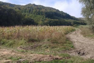 Teren de 5600 mp, în Nord - 8