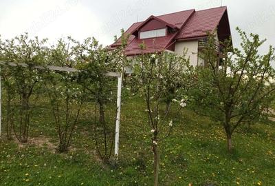 Vand casa locuibila posibilitate afacere - 5