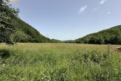 Teren Construcții intravilan de 2558 mp, în Săcuieu