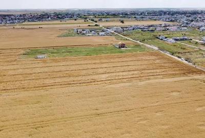 Teren de 500 mp, în Berceni - 7