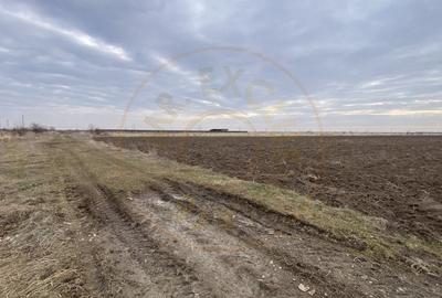 Teren 8973 mp intravilan loc. Albota, jud. Arges. Comision 0% - 3