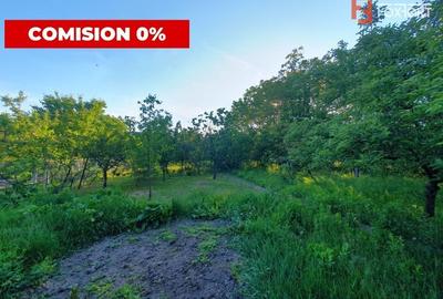 COMISION 0% Casa cu teren 1642 mp in proprietate | zona Dambovita - 31