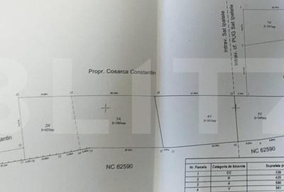 Casa batraneasca cu teren de 6700 mp intravilan, Ipatele - 3