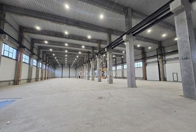 Spatiu Industrial-Mihai Viteazu/Zona Autostrazii A3-Constructie Noua - 7