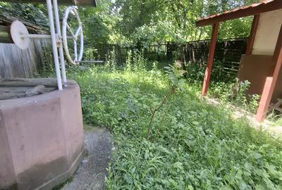Casă individuală cu 3 camere cu Teren 3923 Mp în Govora - 8