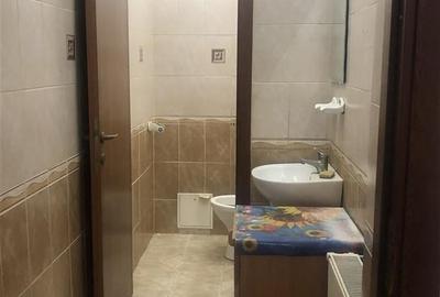 SPATIU COMERCIAL, PRET APARTAMENT, CENTRAL TEATRUL  DRAMATIC - 19
