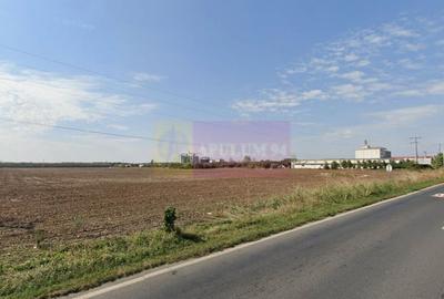 Teren extravilan de vanzare DN1 Paulesti (zona Movila Vulpii) - 2