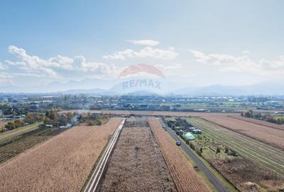 Teren Brasov -Strada Aron Pumnul, 4 loturi X 520 mp, impreuna/ separat - 1