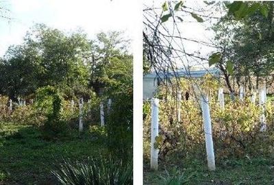 Teren de 5100 mp, în Bolintin-Deal