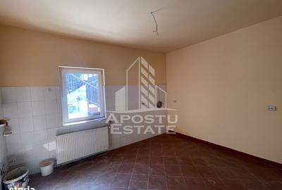 Spațiu comercial, de 100 mp, în Elisabetin - 6