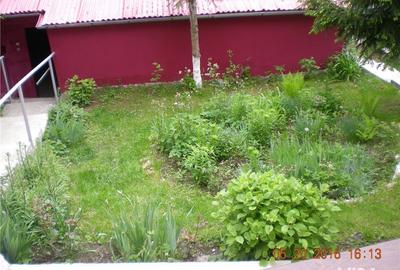 Casă cu 7 camere cu Teren 400 Mp în Greșu - 8