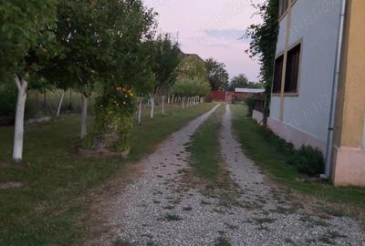 Casă cu 6 camere cu Teren 3300 Mp în Central - 7