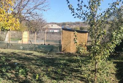 2000 mp in centrul comunei Murgasi Dolj la 22 km de Craiova, vecini - scoala, dispensarul, magazin - 3