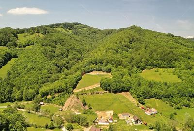 Teren de 16000 mp, în Poiana Mărului - 11