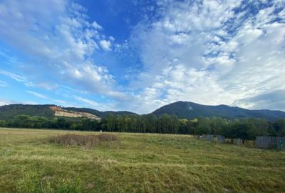 Teren intravilan 13 820 mp, cu acces pe un drum asfaltat, re - 1