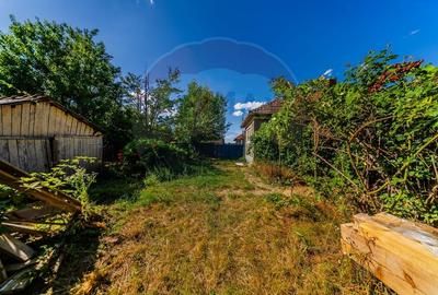 Casa + teren 2880 mp de vanzare in Tipar,Sintea Mare - 24