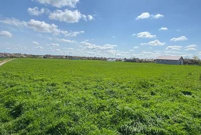 Teren agricol intravilan de 1417 mp, în Valea Dacilor - 4