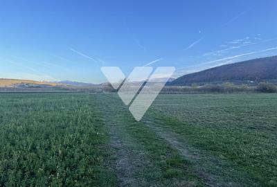 Teren extravilan 800 mp - Poplaca - Sibiu Teren extravilan 800 mp - Poplaca - Sibiu - 4