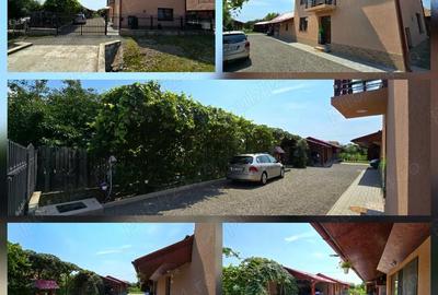 Casă cu 3 camere cu Teren 925 Mp în Suseni - 8