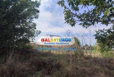 Teren intravilan Targoviste - 7