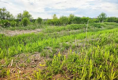 Teren Construcții intravilan de 7900 mp, în Bucov - 7