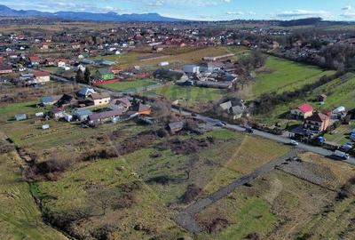 Teren de 1330 mp, în Sud - 2