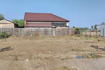 Teren Construcții intravilan de 300 mp, în Balta Albă - 2