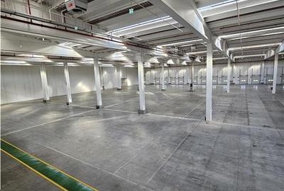 Spatiu Industrial - 5000 mp - Logistica - Depozitare - Distributie - 2