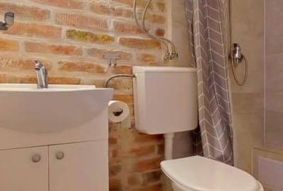 Apartament tip studio,in zona ultracentrala - 2