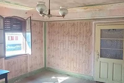 Casă cu Teren 1200 Mp în Ticvaniu Mic - 2