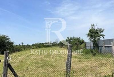 Spațiu comercial, în Băile Felix