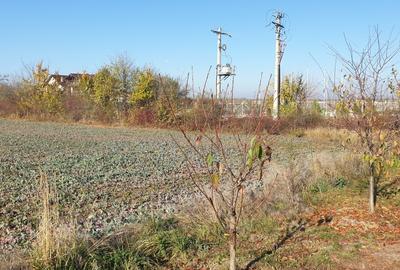 Balotesti teren intravilan 14036 mp Arc padurea Codrii Vlasiei - 8