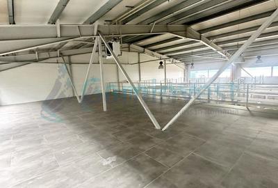 Spațiu industrial, în Exterior Vest - 7