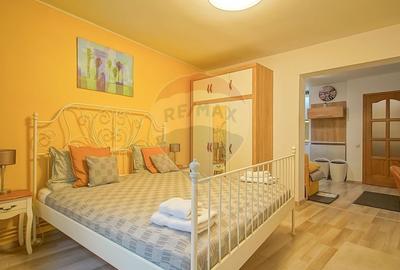 Casa cu 5 studiouri independente, terasa rooftop, vedere montana - 24