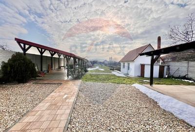 Casă de vânzare în zona Oncea, Str Ion Bogdan, teren 2.000 mp - 27