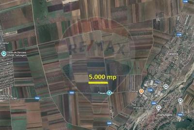 Teren de 5000 mp, în Tărlungeni - 5