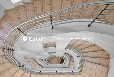 Central Business Park, Marasesti, 273 - 2160 mp 0% comision! - 13