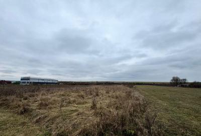 Teren de 2800 mp, în Satulung - 2