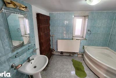 Casă cu 3 camere decomandat cu Canalizare în Viile Noi - 11