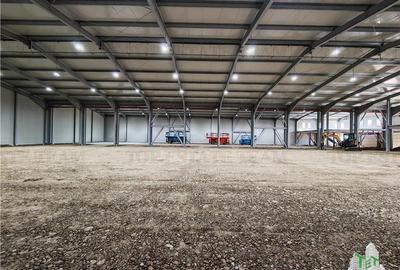 Spațiu industrial, de 4,000 mp, în Balotești - 3