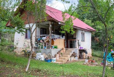 Vand casa ?i teren in satul Costeni, comuna Tismana, jude?ul Gorj. - 2