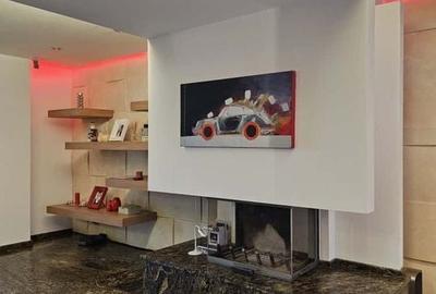 Vila – investiție majoră în materiale premium și tehnologie - 12