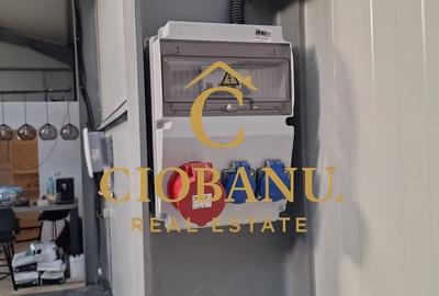 Hala de vanzare in Racarii de Jos - 5