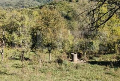 Teren de 2406 mp, în Central - 18