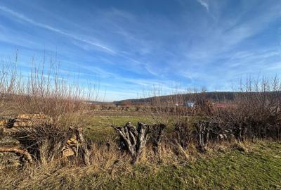 Teren Construcții intravilan de 1080 mp, în Rășinari - 6