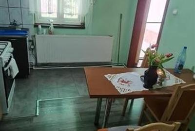 Casa 3 Camere Timisoara Cetatii - 9