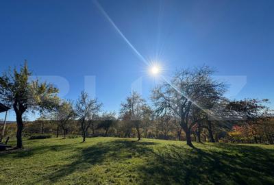 Teren extravilan 2000mp in Tarsa - 2