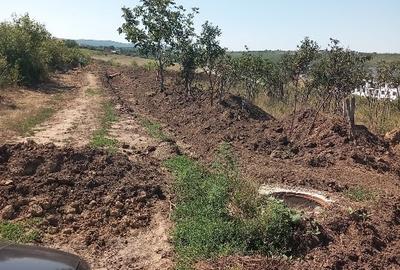 Teren Construcții intravilan de 2500 mp, în Bucium - 2